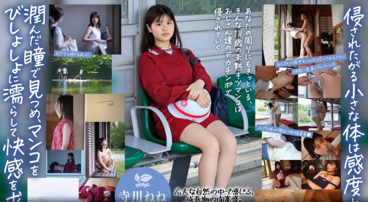 S1ガールズコレクションシリーズ_在线观看的av网站_成人无删减手机在线观看